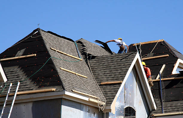 Roof Gutter Cleaning in Dasher, GA