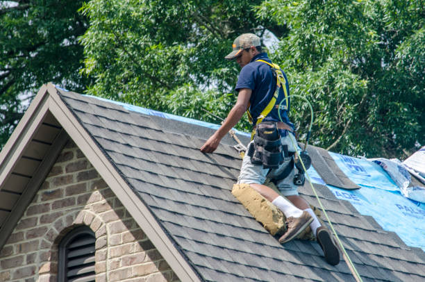 Best Residential Roofing Contractor  in Dasher, GA
